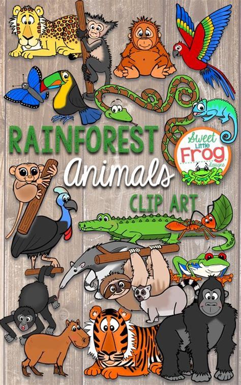 The Rainforest Animals Clip Art Is Displayed On A Wooden Background