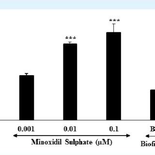 Hair growth does not occur in the absence of the papilla. Effect of the test samples on hair growth regarding dermal ...