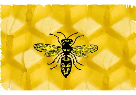 Bee and Honeycomb - Download Free Vector Art, Stock Graphics & Images