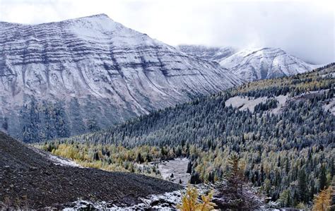 The Fabulous Arethusa Cirque Hike In Kananaskis Hike Bike Travel