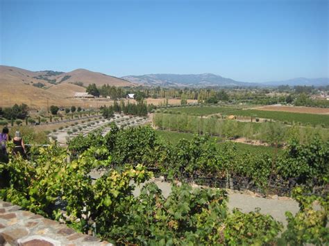 Viansa Winery Sonoma California Beautiful Favorite Places Sonoma