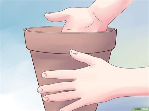 Jun 04, 2012 · in homes with low humidity, air roots can turn yellow and shrivel. How to Repot an Orchid: 14 Steps (with Pictures) - wikiHow ...