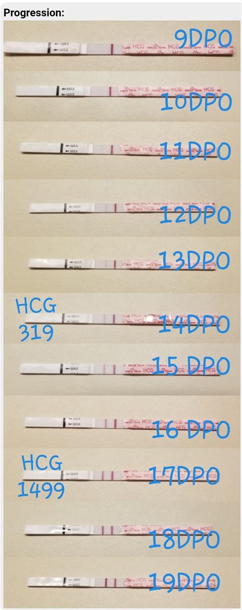 9 19dpo Progression On Easyhome Cheapies Hcg Level More Than
