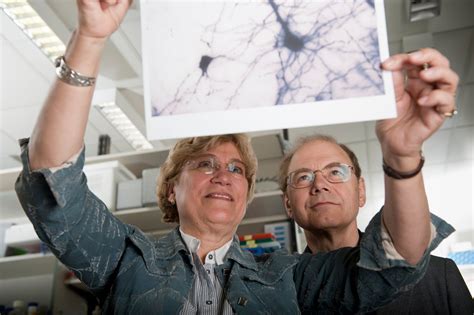 Alzheimer Protein Klumpen Im Gehirn Max Planck Gesellschaft