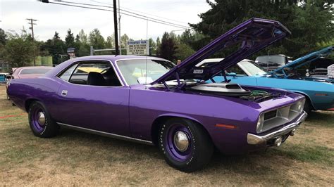 Muscle 1 Of 6 Known To Exist In Violet Plum Crazy 1970 426 Hemi