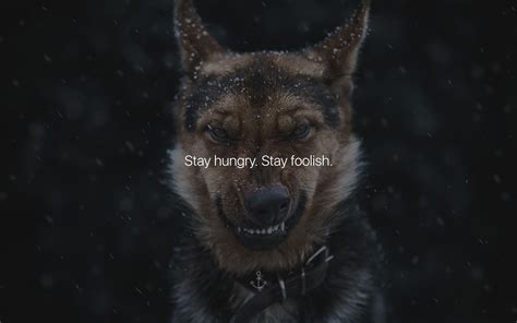 Hungry Wallpapers Wallpaper Cave