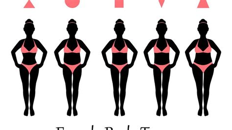 Tipos De Cuerpo Tipo De Cuerpo Mujer Tipos De Cuerpos Femeninos Porn