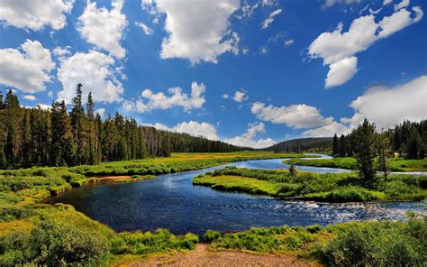 Wallpaper Landscape Lake Nature Reflection Grass Park River