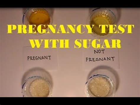 Amber heard welcomes daughter via surrogacy; Homemade Pregnancy Test Sugar Positive | diy craft tutorials step by step