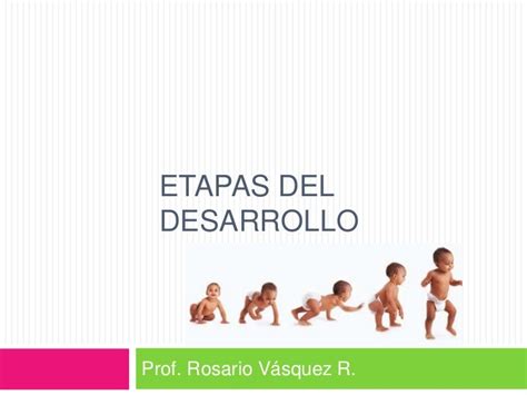 Etapas Del Desarrollo Humano Piaget Kulturaupice