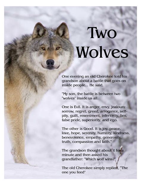 The Story Of Two Wolves An Old Cherokee Told His Grandson My Son