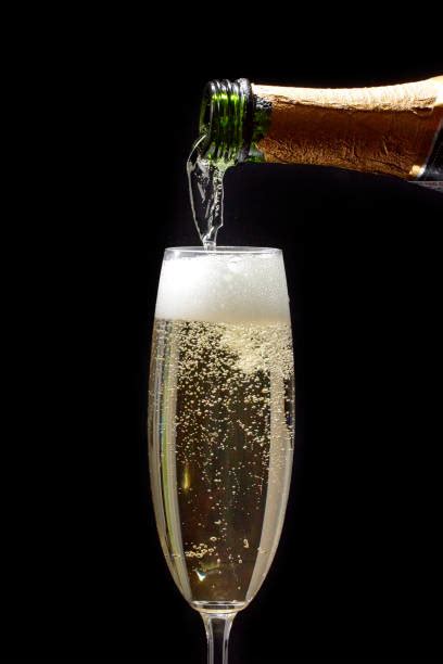 460 Gala Soirée Champagne Photos Taleaux Et Images Libre De Droits