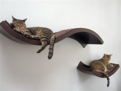 They revel in the occasional time. Cat Wall Shelves Ikea | Home Design Ideas … | Cat wall ...