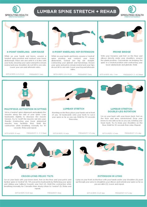 Free Exercise Sheets Sprouting Health