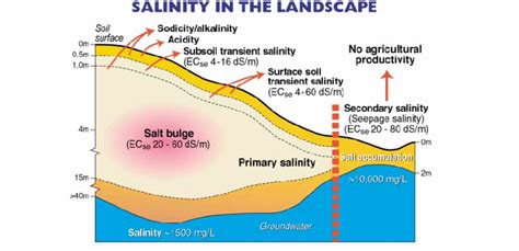 Landscape Salinity Illustrating The Development Of Primary Salinity