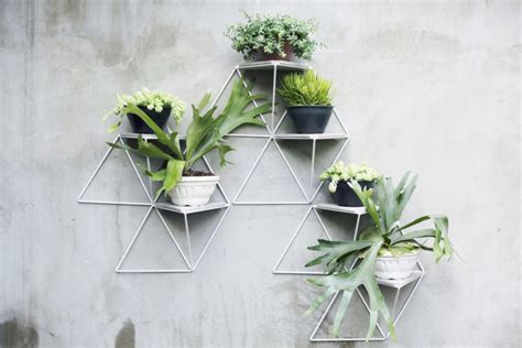 I´ve read your blog with great interest and i have some questions on the construction of a green wall meant for the outdoor. Flexible Garden Modules make it easy to build your own ...