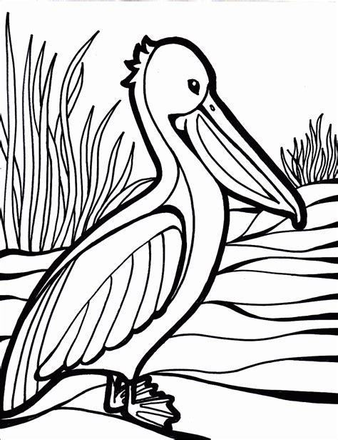 Free Printable Bird Coloring Pages Printable Templates