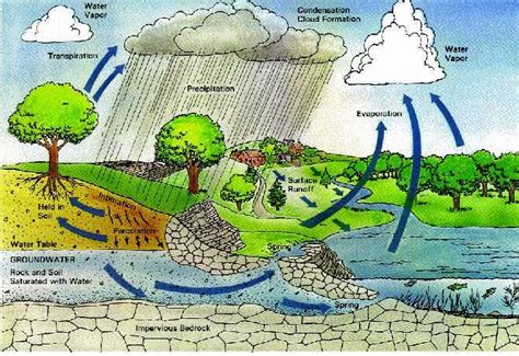 Maybe you would like to learn more about one of these? GAMBAR JENIS-JENIS AWAN & PROSES TERJADINYA HUJAN ...