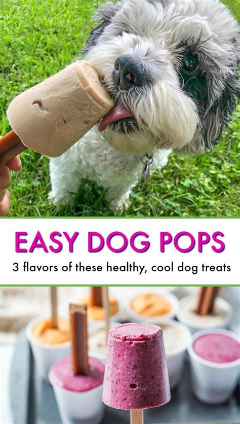 Easy Dog Pops - 3 Flavors To Treat Your Pup This Summer! | Recipe | Healthy dog treats homemade