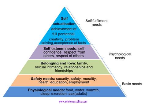 4 Basic Needs Of Humans