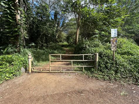 Hiking the Kuilau Ridge Trail on Kauaʻi — noahawaii