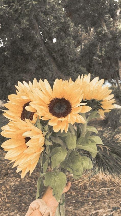 Vintage Aesthetic Yellow Flower Background Lookalike
