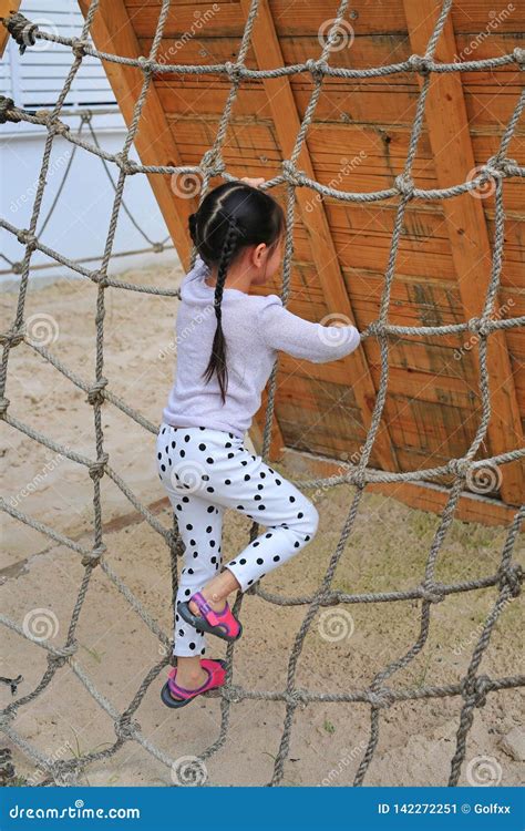 Little Kid Girl At Playground Playing On Climbing Rope Net Stock Image