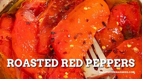 Chili Pepper Madness Chili Pepper Recipes And More Chili Chili