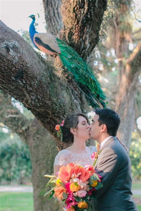 It is open to the public for a fee. Flamingo Gardens Wedding - Fine Art Wedding Photography by Los Angeles Wedding Photographer Ilya ...
