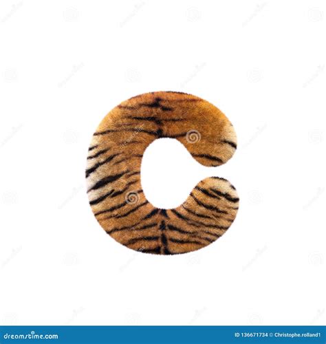 Tiger Letter C Lowercase D Feline Fur Font Suitable For Safari