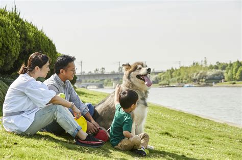 Boehringer ingelheim animal health is the second largest animal health business in the world, with net sales of $4.5 billion (4 billion euros) in 2019 and a presence in more than 150 countries. Animal Welfare | boehringer-ingelheim.com