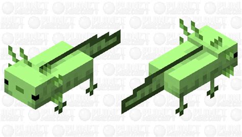 1 obtaining 2 interface 3 list of advancements 3.1 minecraft 3.2 nether 3.3 the end 3.4 adventure 3.5 husbandry 4 json format 5 sounds 6 history 7 issues 8 trivia 9 gallery 10 see also 11 references advancements can be. Green axolotl (GFP axolotl) Minecraft Mob Skin
