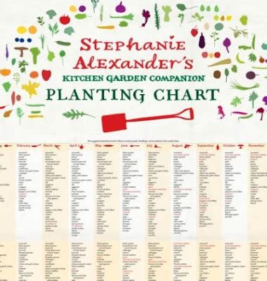 With fresh and organic vegetables in short supply in the winter, the earlier you start with vegetable gardening, the better. Start To Grow: Gardening Planting Guides for Australia