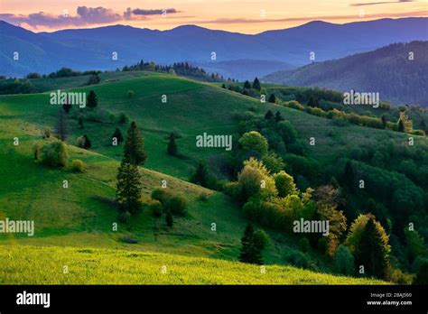 Mountainous Countryside In Springtime At Dusk Trees On The Rolling