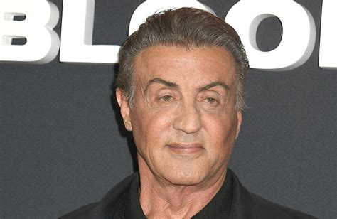 My favourite hollywood actors are sylvester stallone, al pacino & robert de nero so lets start with mr. Sylvester Stallone: 'Rambo' geht seiner Familie tierisch ...