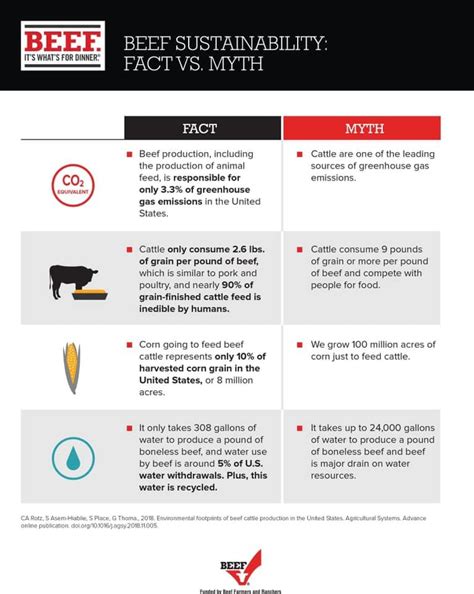Ag 101. Fact: Beef is sustainable. | Showing livestock ...
