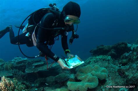 Citizen Science Brings Hope To Flinders Reef