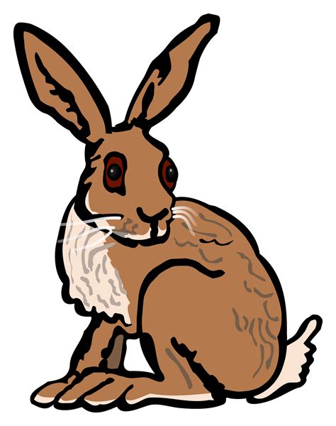 Hare Clipart 20 Free Cliparts Download Images On Clipground 2021