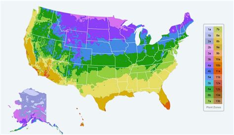 Planting Zones Map Find Your Plant Hardiness Growing Zone Planting