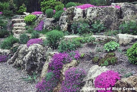 We did not find results for: big gardens | Minneapolis MN Landscape Design | Rock ...