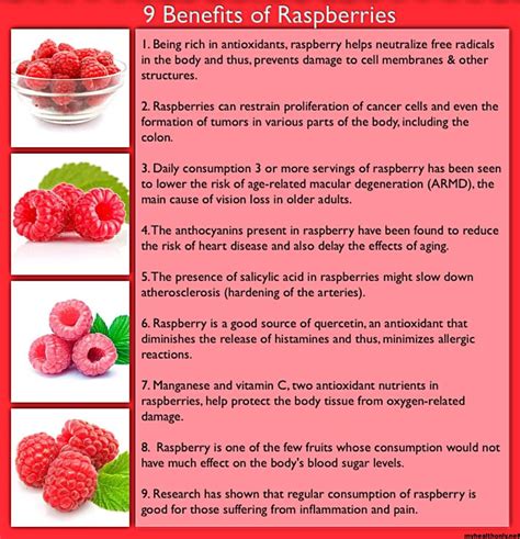 Discover The Health Benefits Of Raspberries A Nutrient Packed And