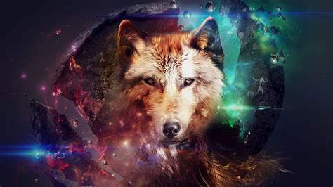 45 Free Wolf Screensavers And Wallpaper