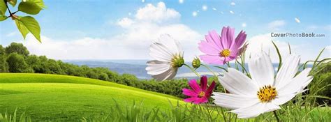 Spring Landscape Flowers Wind Facebook Cover Nature