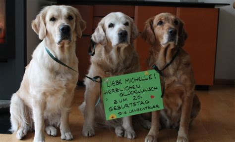 Apr 24, 2019 · lustige glückwünsche zum geburtstag: Glückwünsche Zum Geburtstag+hund, Alles... | liebe ...