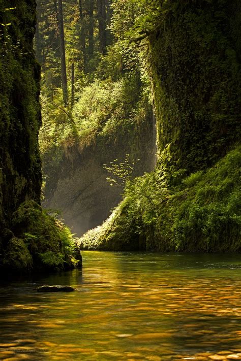 Eagle Creek Columbia River Gorge National Scenic Area Oregon By Ross