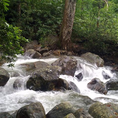 Vazhvanthol Waterfalls Thiruvananthapuram Trivandrum All You Need
