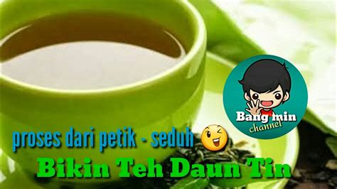 Jun 27, 2013 · cara membuat teh dari daun tin 1. Proses bikin Teh Daun Tin dari petik daun sampe di seduh ...