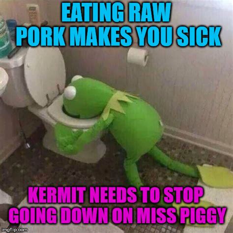 Kermit Should Stop Eating Raw Pork Imgflip