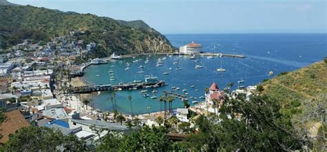 Best Things To Do On Catalina Island Attractions In Avalon And Around