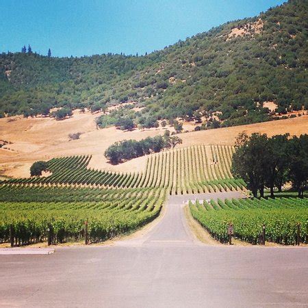 Our small family winery is located in the beautiful south okanagan valley, bc #discovergold #bcwine. Del Rio Vineyards & Winery (Gold Hill) - 2019 All You Need to Know BEFORE You Go (with Photos ...